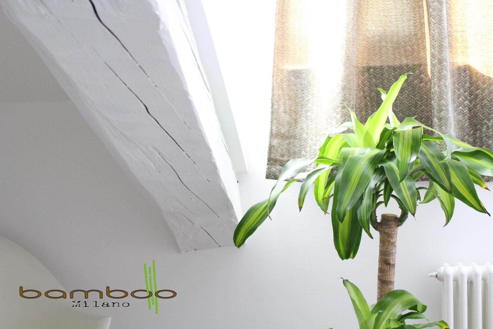 Апартаменты Bamboo Milano Isonzo Экстерьер фото